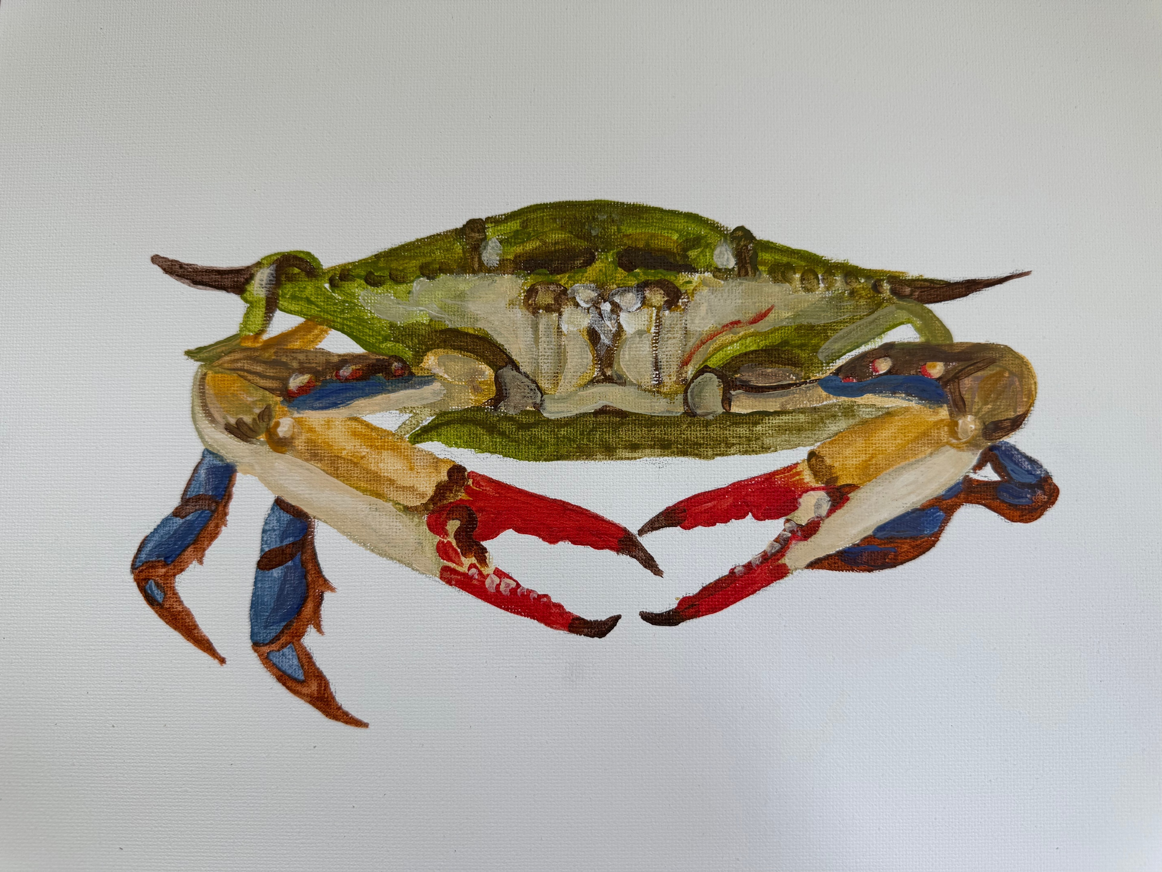 Multicolor Blue Crab