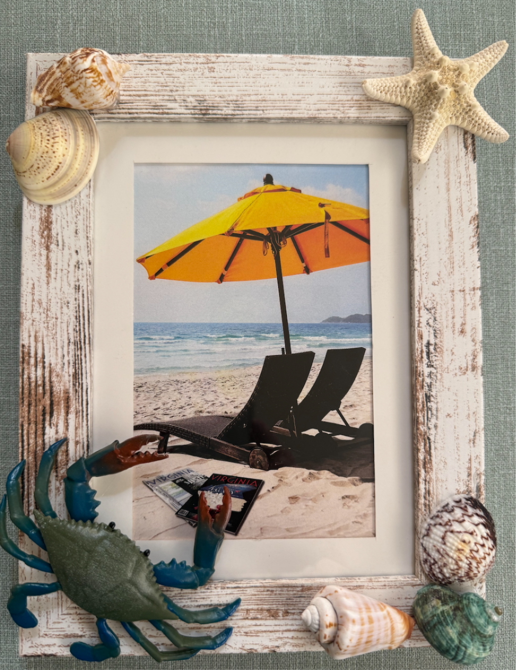 Shell Frames